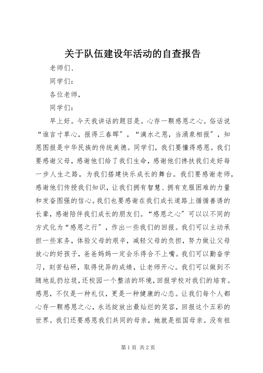 2023年队伍建设年活动的自查报告.docx_第1页