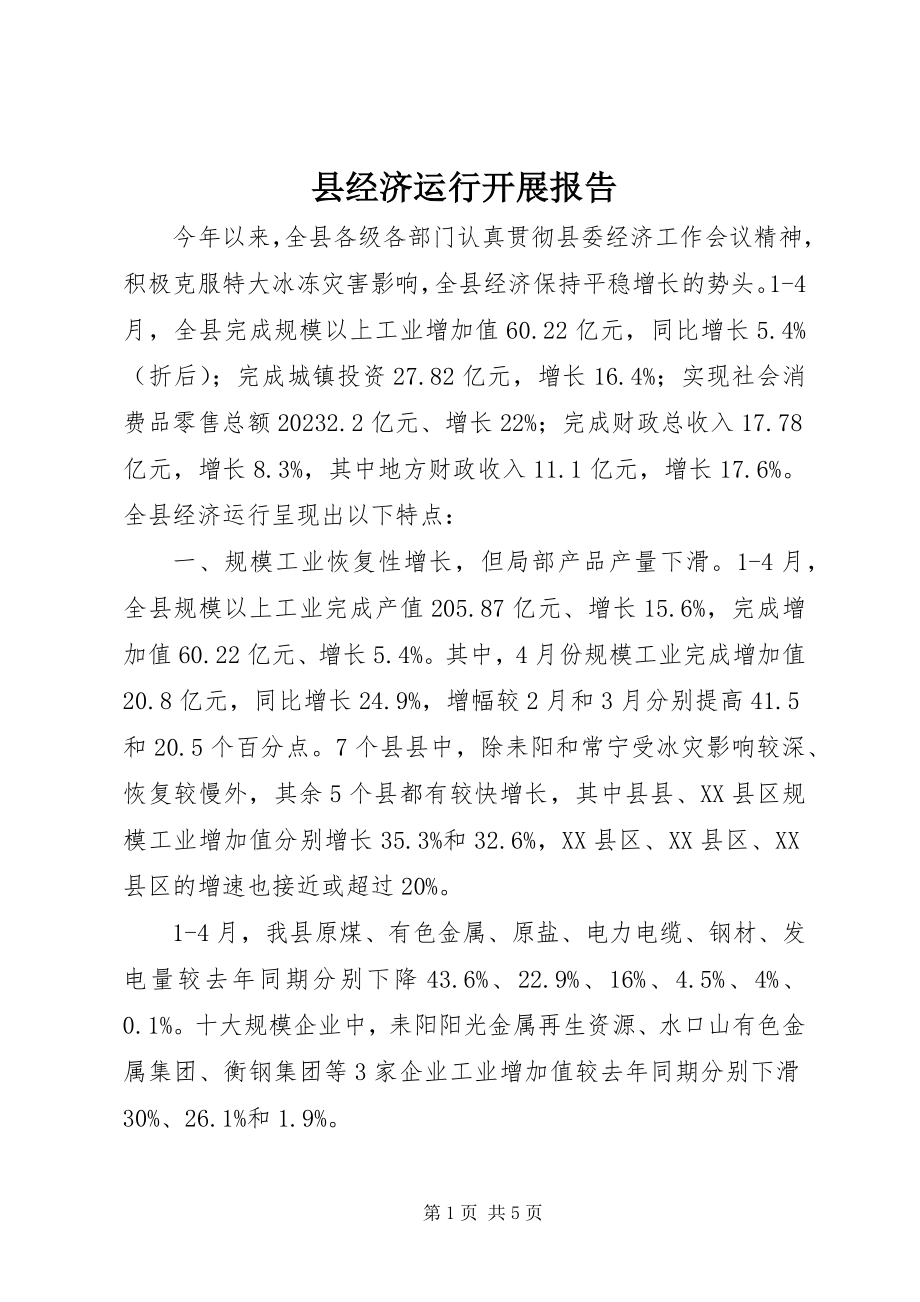 2023年县经济运行发展报告.docx_第1页