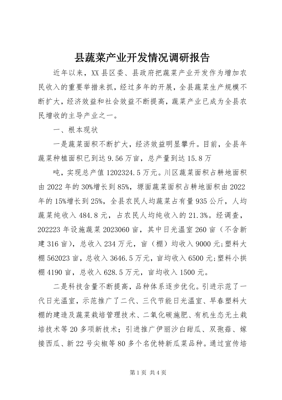 2023年县蔬菜产业开发情况调研报告.docx_第1页