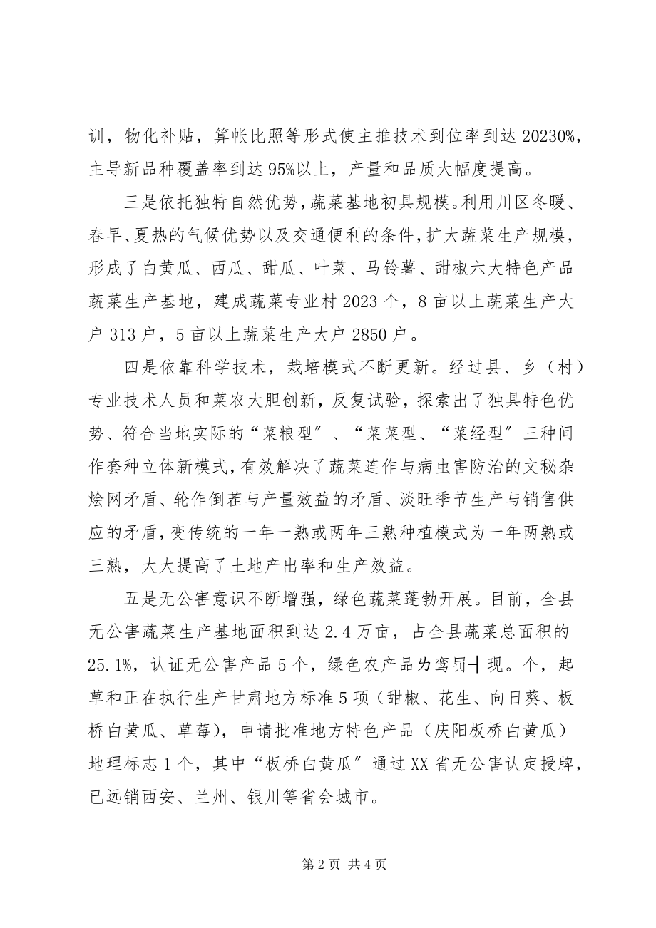 2023年县蔬菜产业开发情况调研报告.docx_第2页