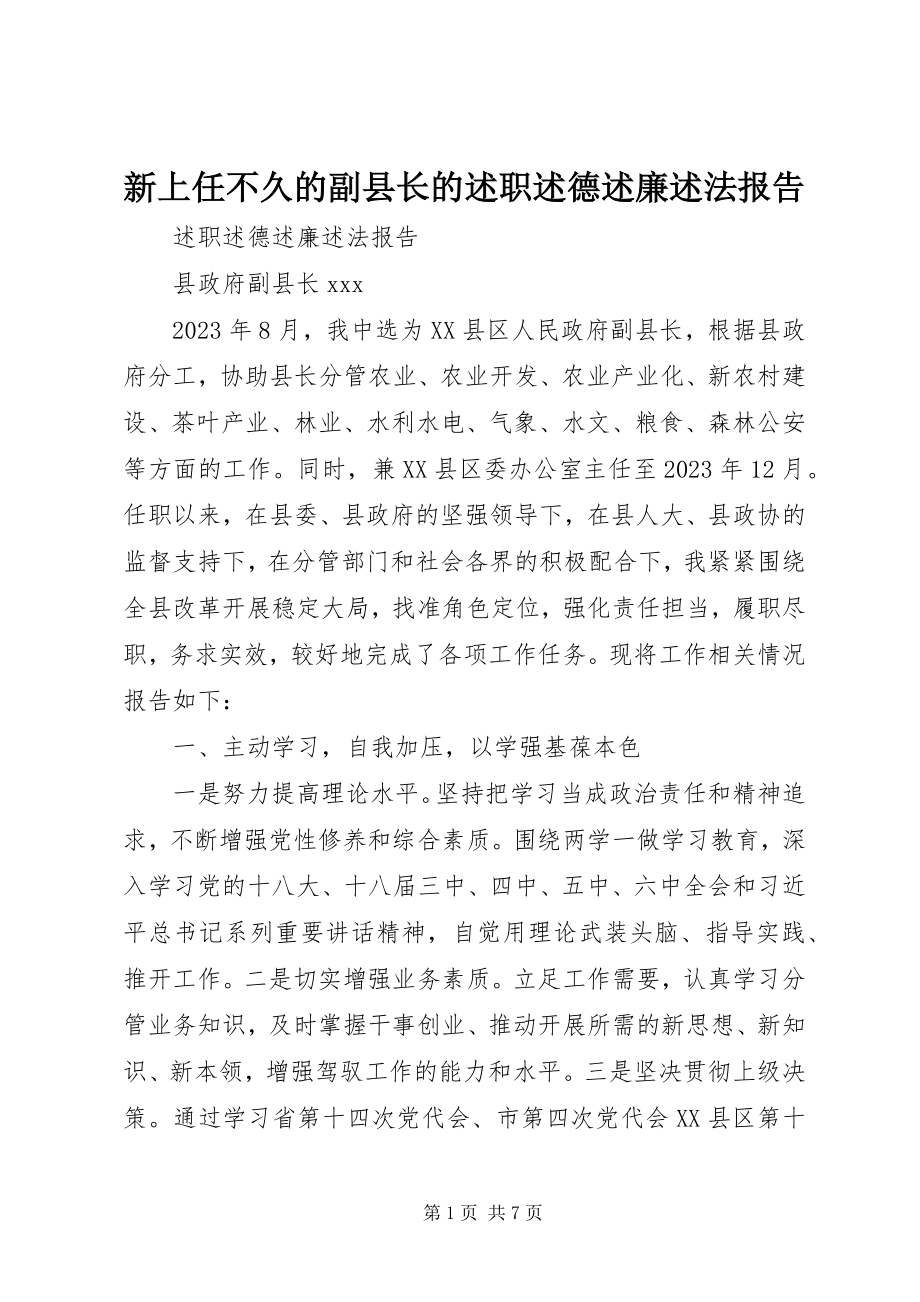 2023年新上任不久的副县长的述职述德述廉述法报告.docx_第1页