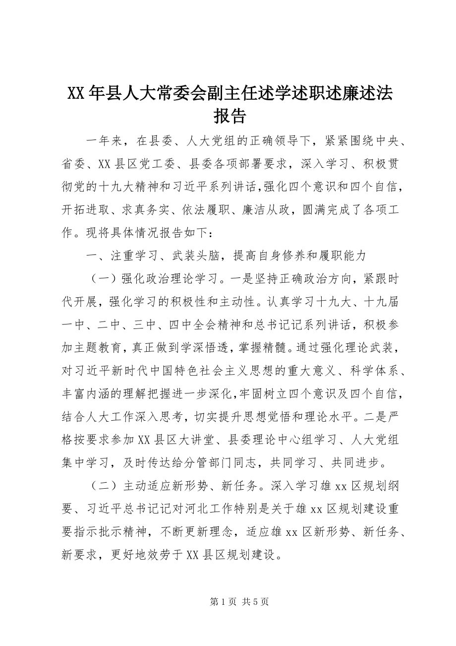 2023年县人大常委会副主任述学述职述廉述法报告.docx_第1页