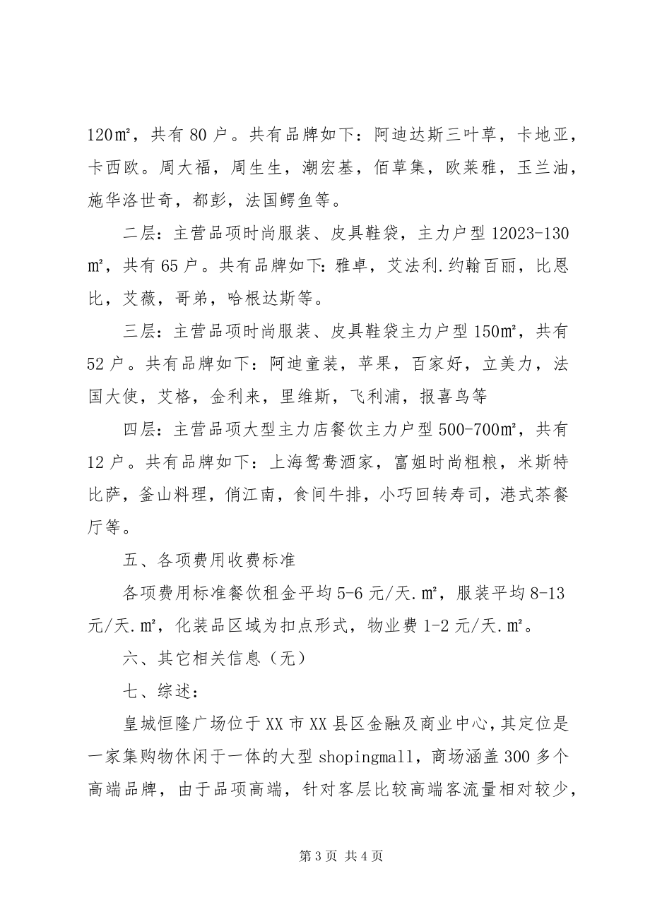 2023年恒隆广场调研报告.docx_第3页