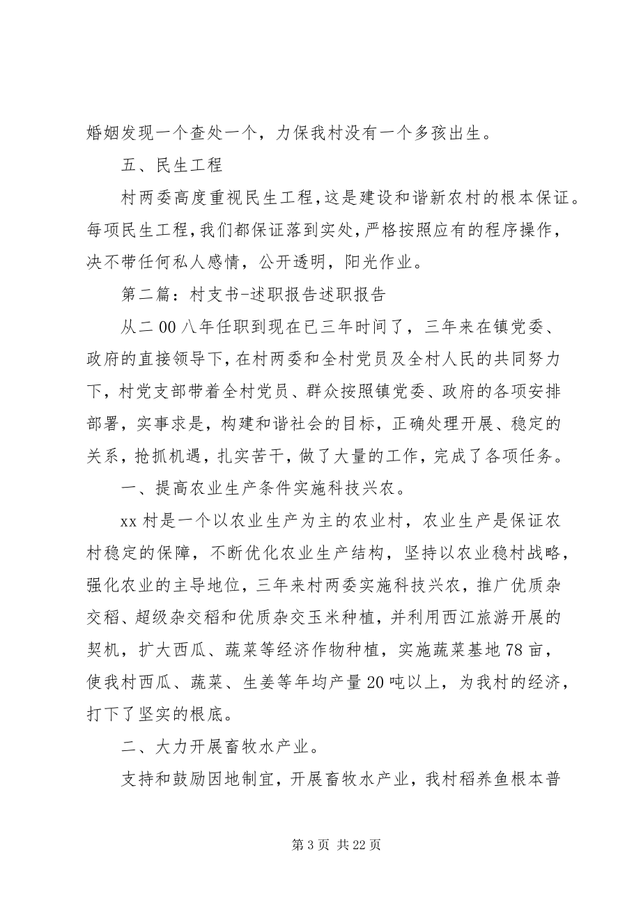 2023年村支书述职报告2.docx_第3页