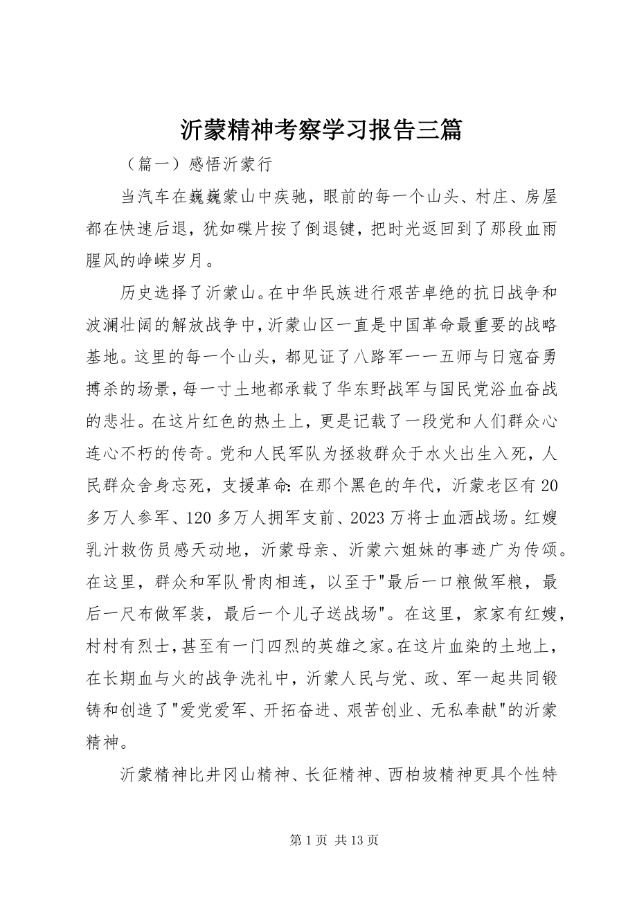 2023年沂蒙精神考察学习报告三篇.docx_第1页