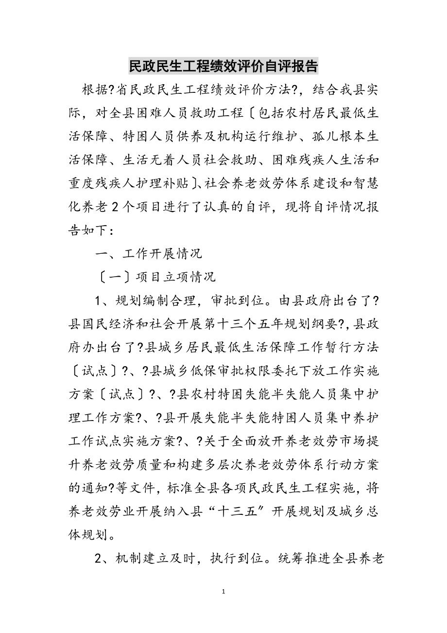 2023年民政民生工程绩效评价自评报告范文.doc_第1页