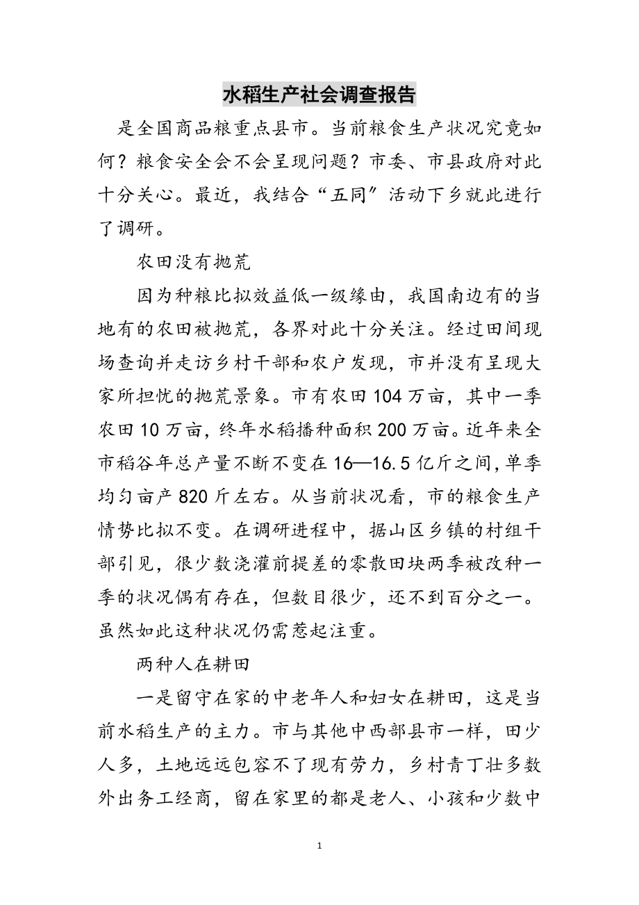 2023年水稻生产社会调查报告范文.doc_第1页