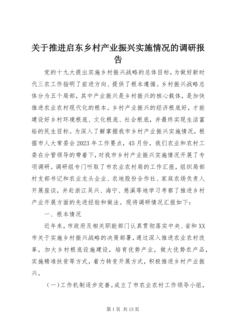 2023年推进启东乡村产业振兴实施情况的调研报告.docx_第1页