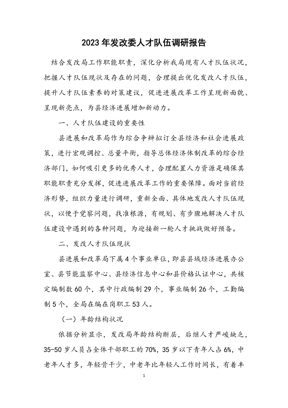 2023年发改委人才队伍调研报告.docx_第1页