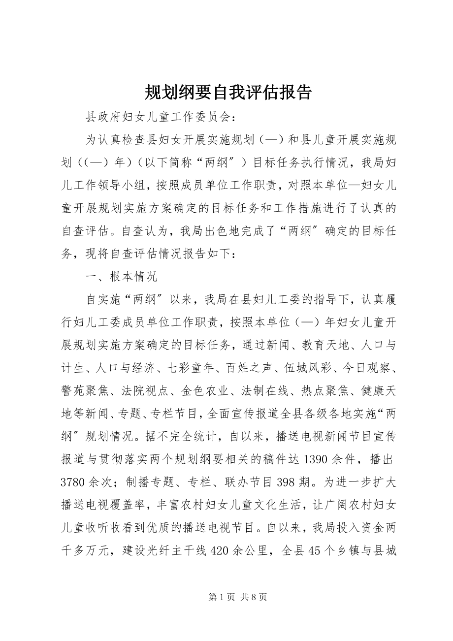 2023年规划纲要自我评估报告.docx_第1页