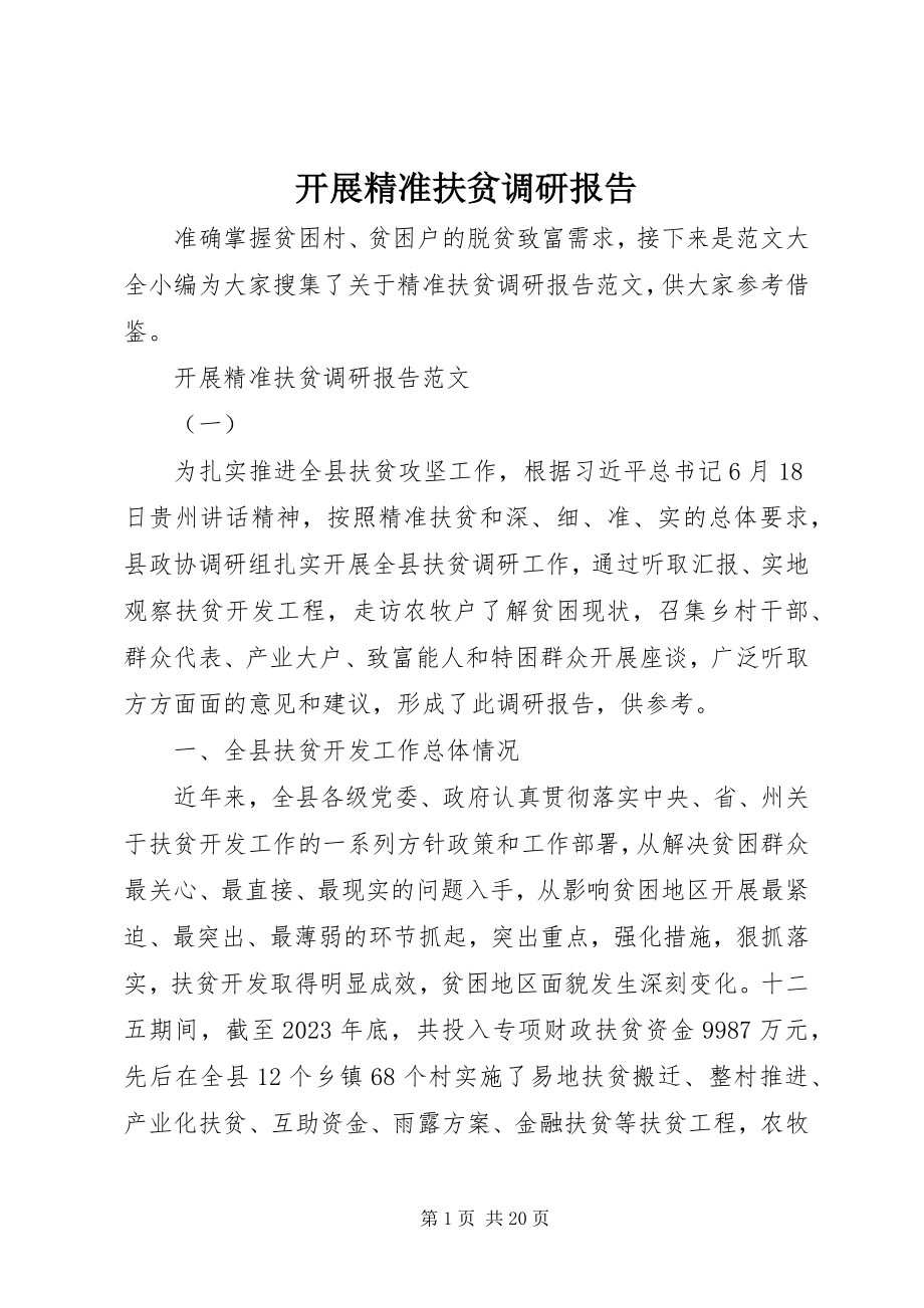 2023年开展精准扶贫调研报告.docx_第1页