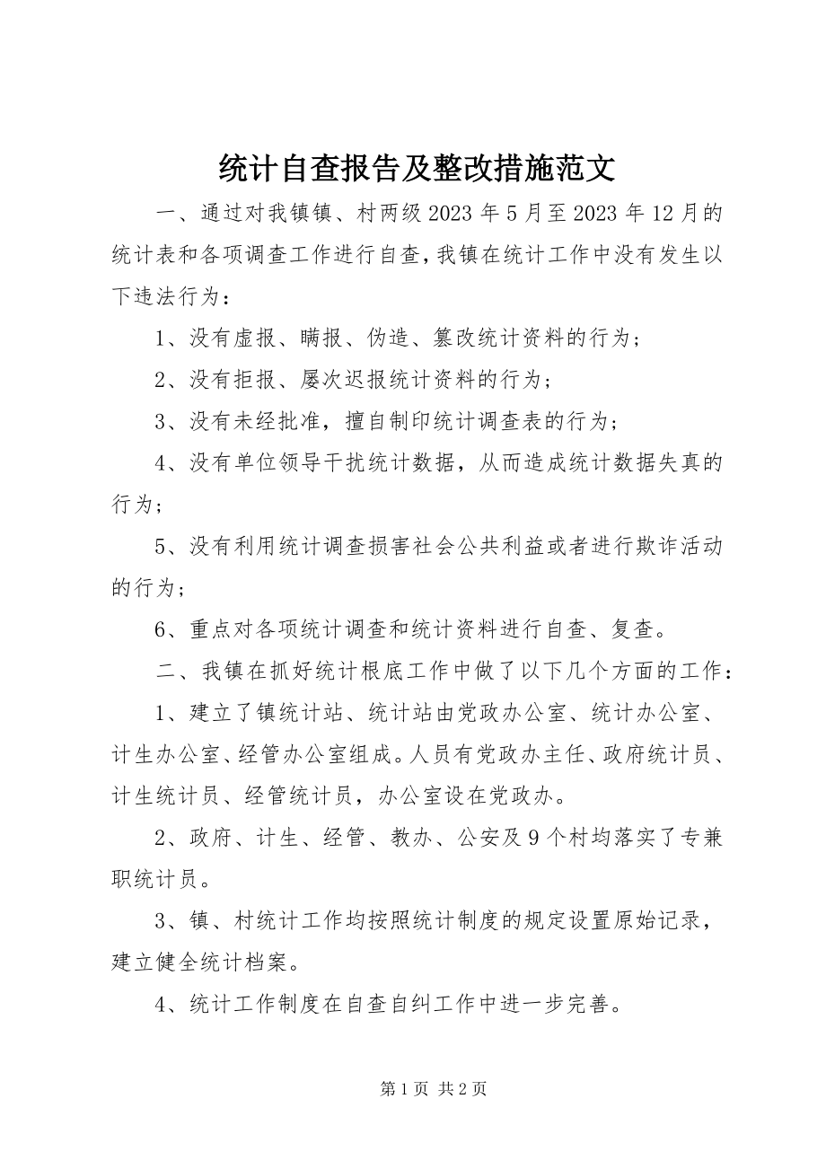 2023年统计自查报告及整改措施2.docx_第1页