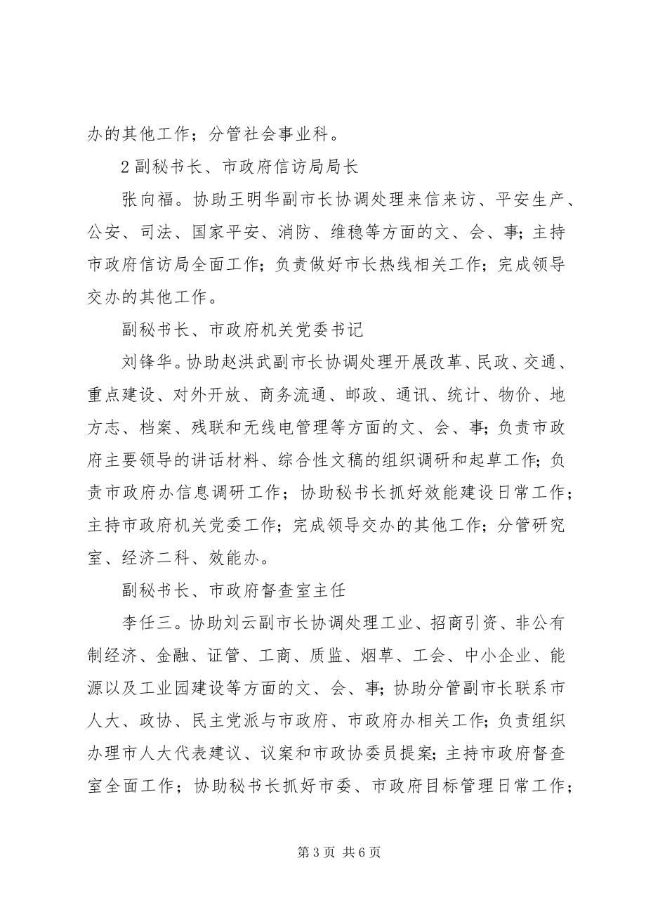 2023年市政府副秘书长办公室副主任述职报告.docx_第3页