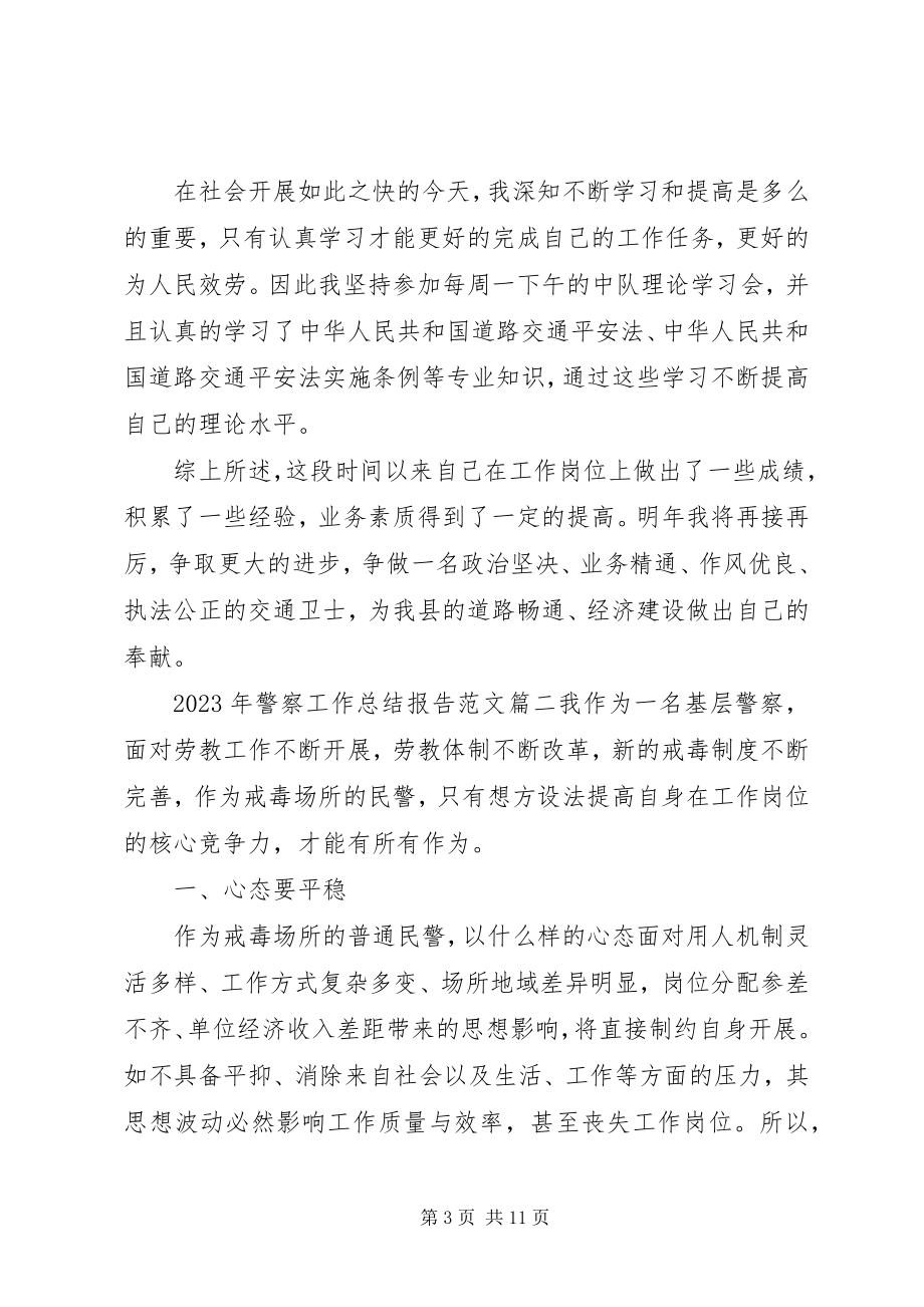 2023年警察工作总结报告书.docx_第3页