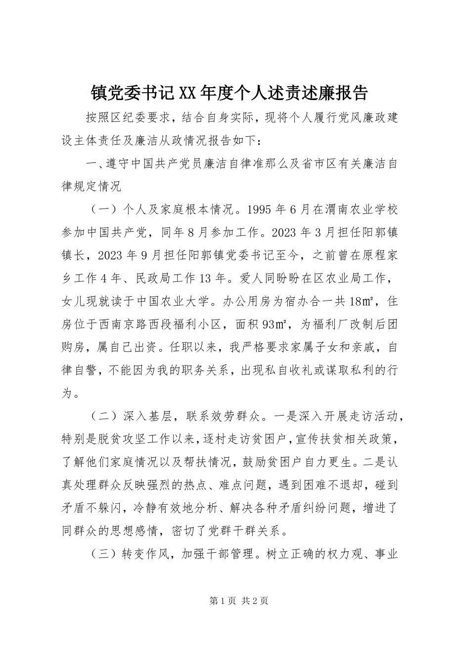 2023年镇党委书记度个人述责述廉报告.docx_第1页