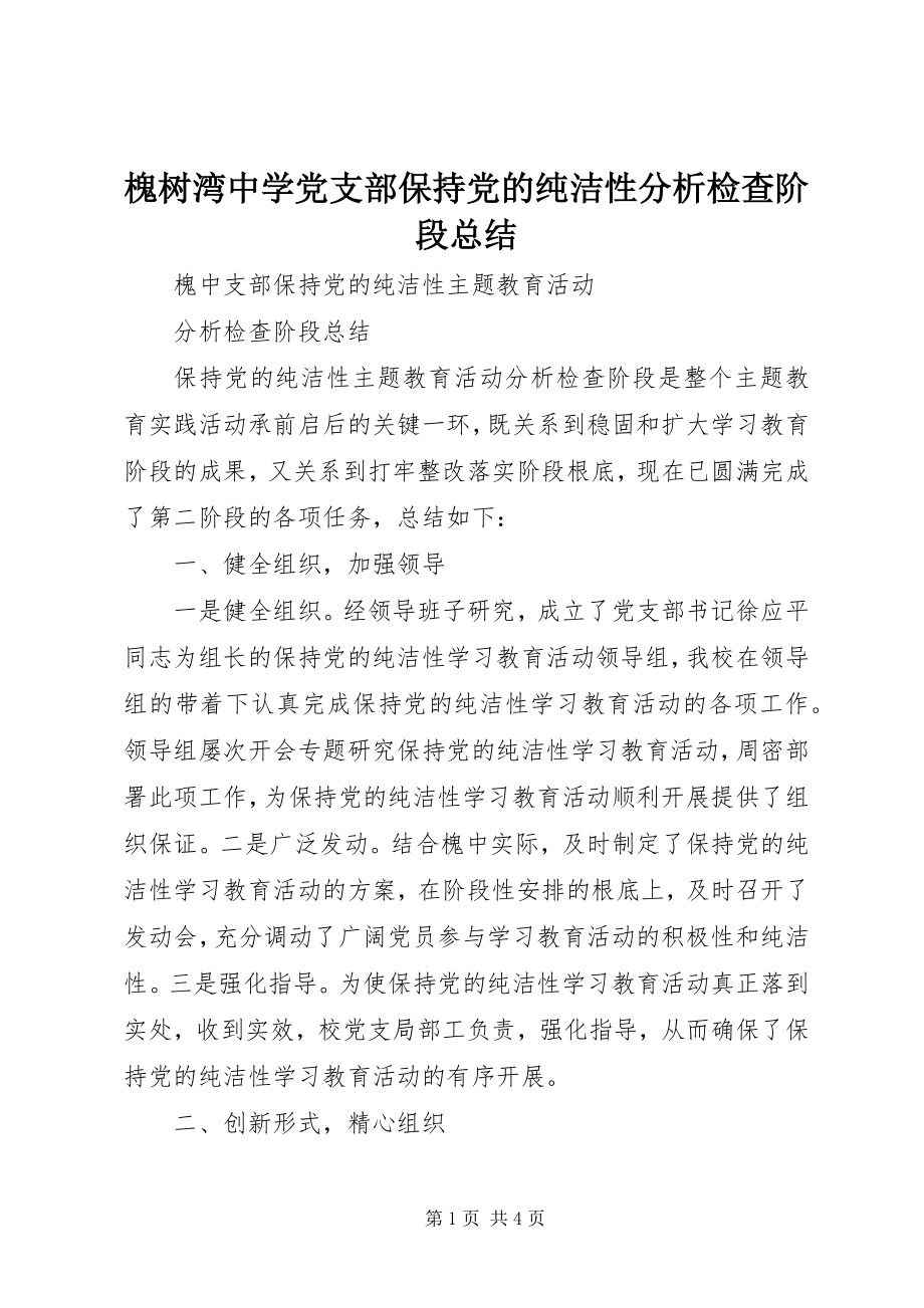 2023年槐树湾中学党支部保持党的纯洁性分析检查阶段总结.docx_第1页