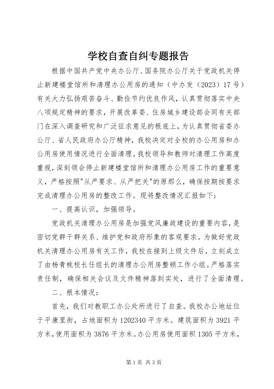 2023年学校自查自纠专题报告.docx_第1页