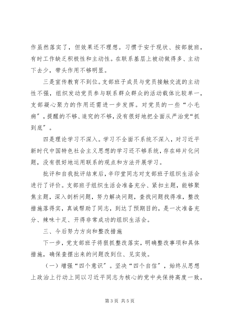 2023年基层党组织组织生活会情况专题报告新编.docx_第3页