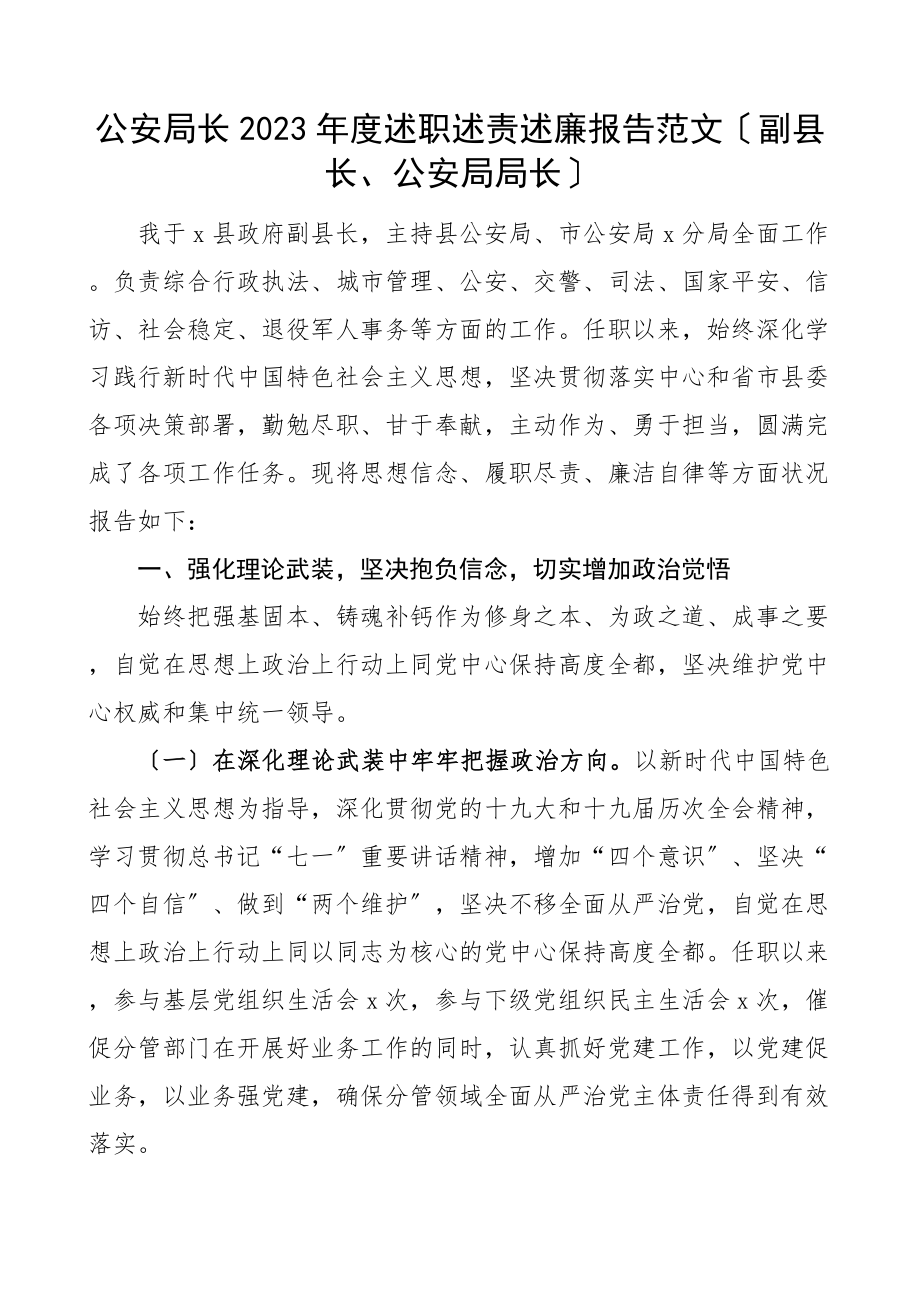 2023年度述职述责述廉报告副县长公安局局长.doc_第1页