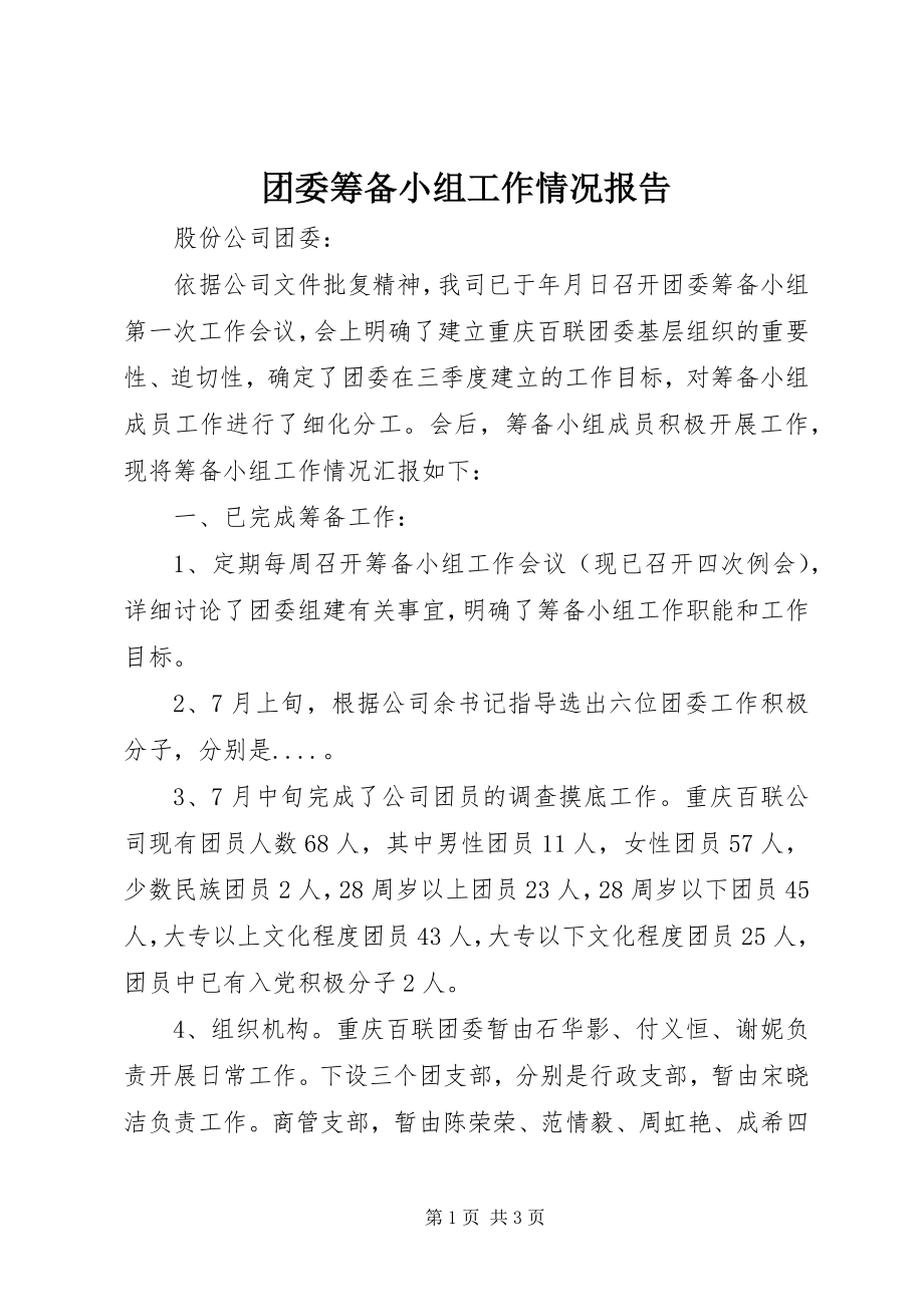 2023年团委筹备小组工作情况报告.docx_第1页