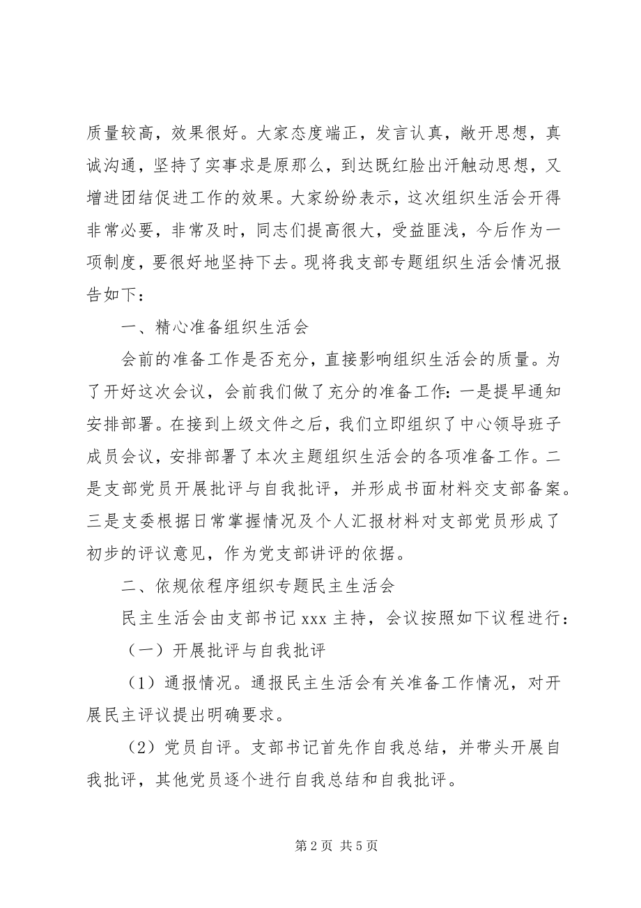 2023年组织生活会专题报告.docx_第2页