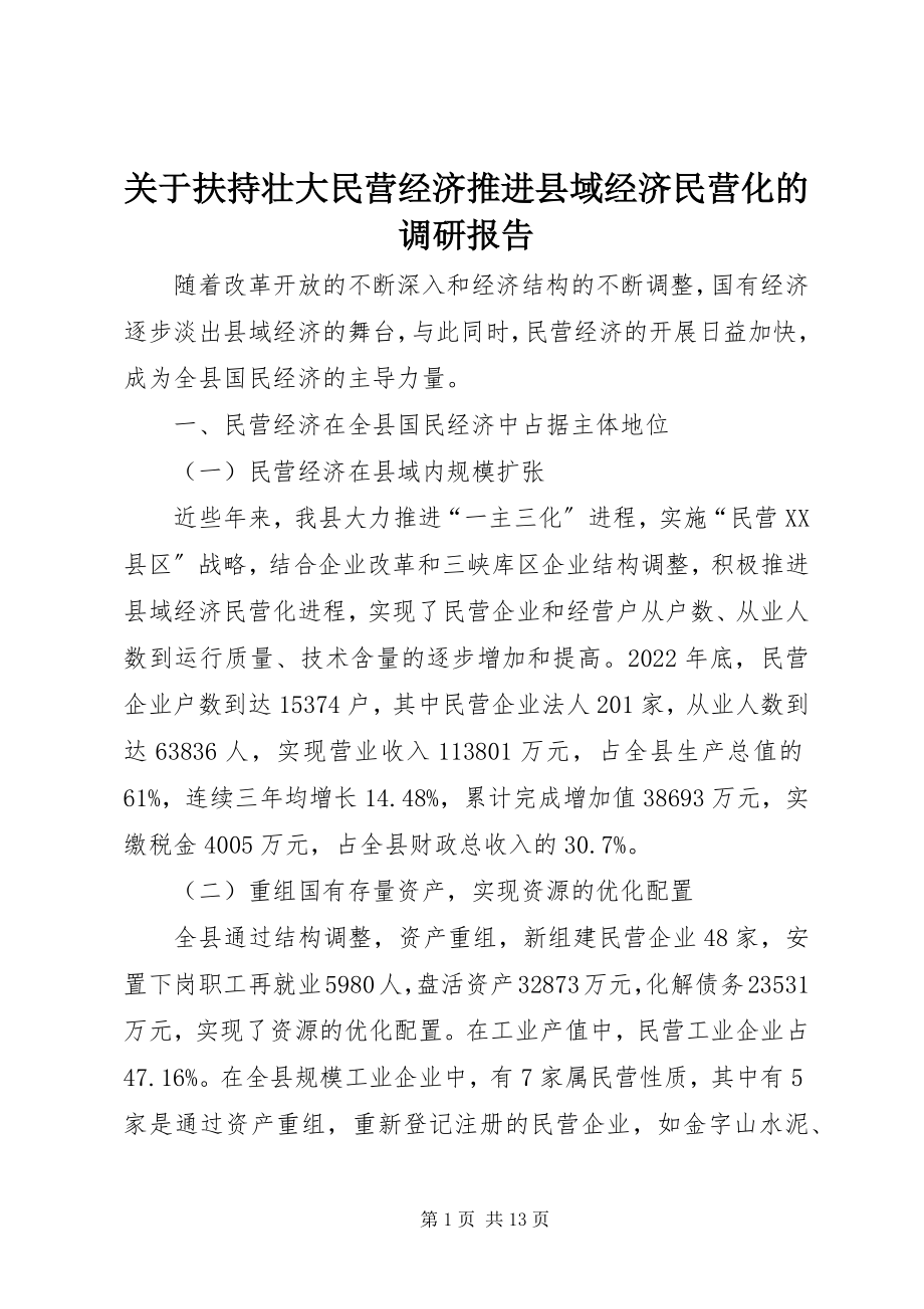 2023年扶持壮大民营经济推进县域经济民营化的调研报告.docx_第1页