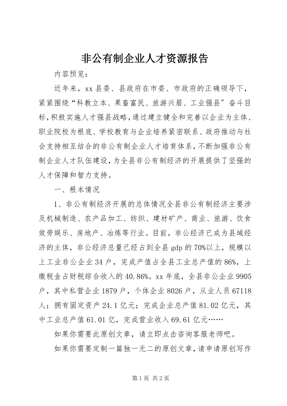 2023年非公有制企业人才资源报告.docx_第1页