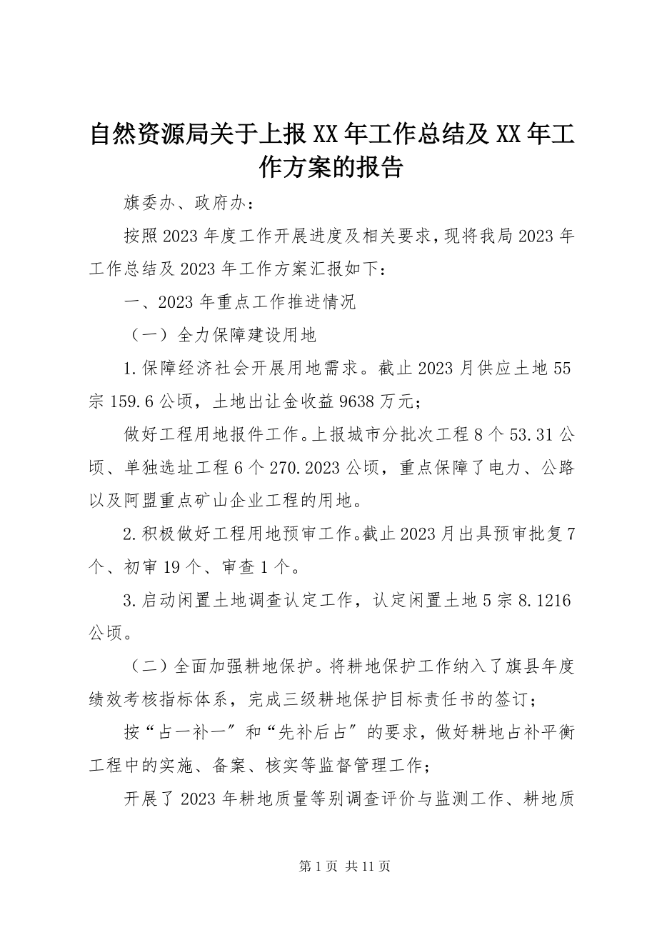 2023年自然资源局关于上报工作总结及工作计划的报告.docx_第1页