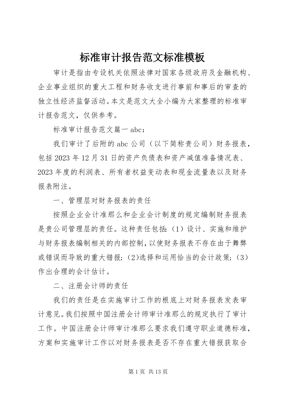 2023年标准审计报告标准模板新编.docx_第1页