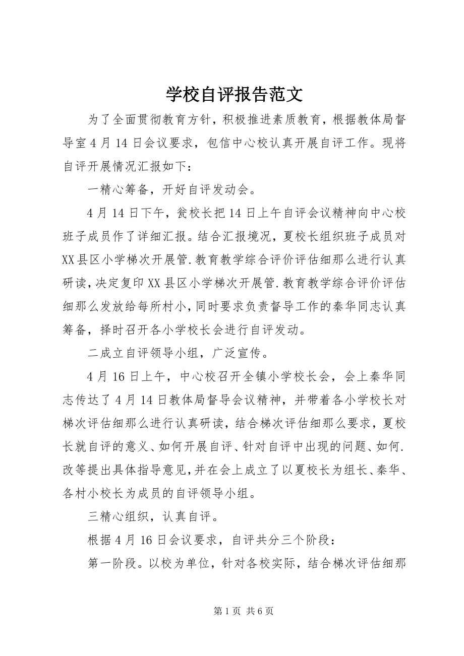 2023年学校自评报告.docx_第1页