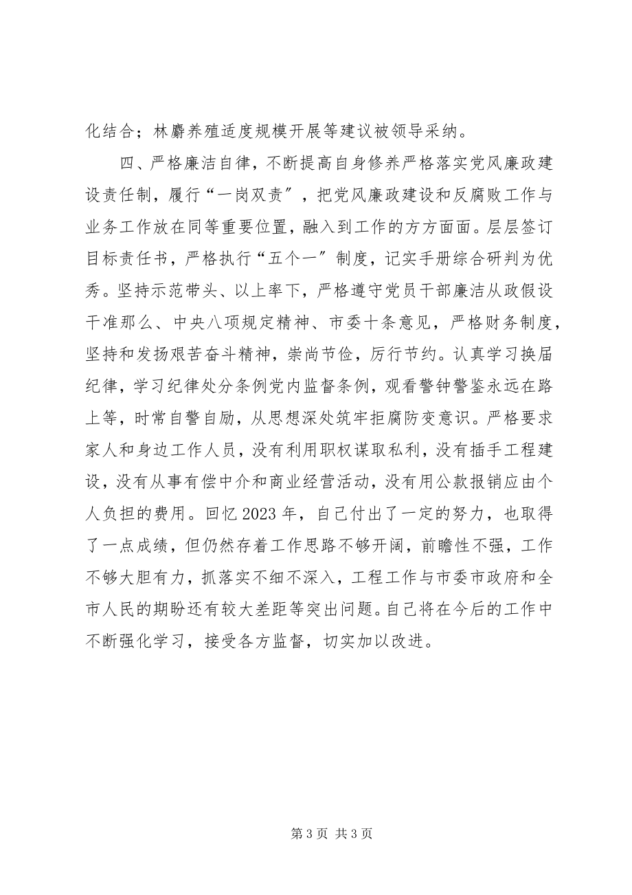 2023年项目管理办公室副主任述职述廉述效报告.docx_第3页