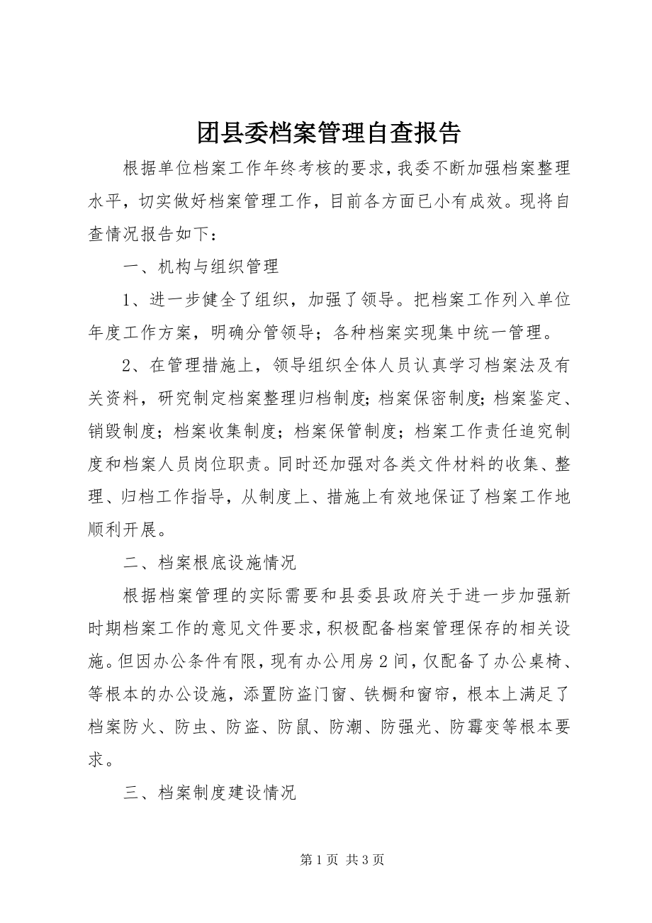 2023年团县委档案管理自查报告.docx_第1页