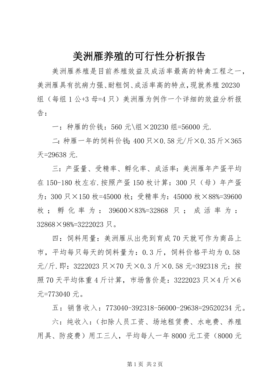 2023年美洲雁养殖的可行性分析报告.docx_第1页