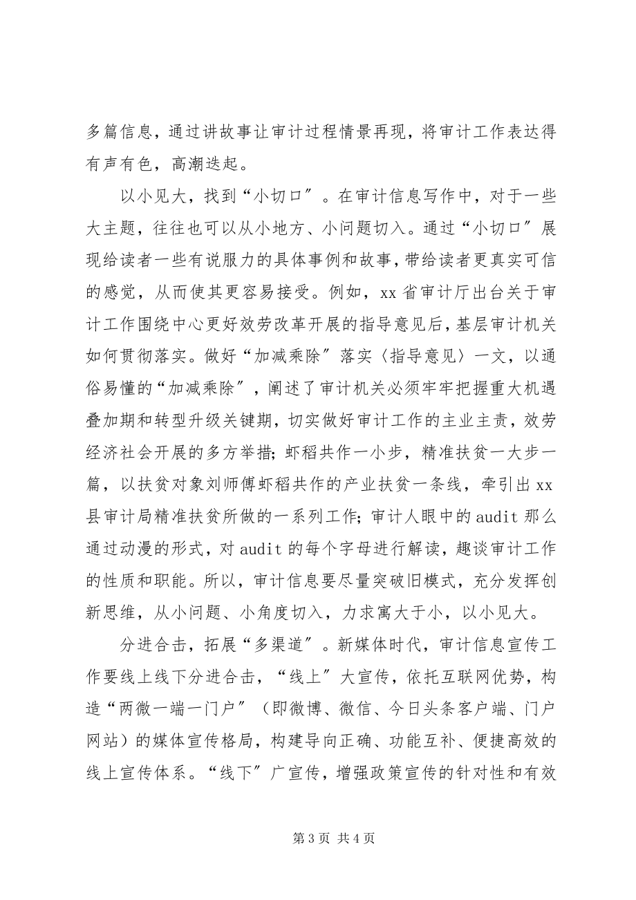 2023年学习十九代报告浅谈审计信息宣传工作的创新策略.docx_第3页