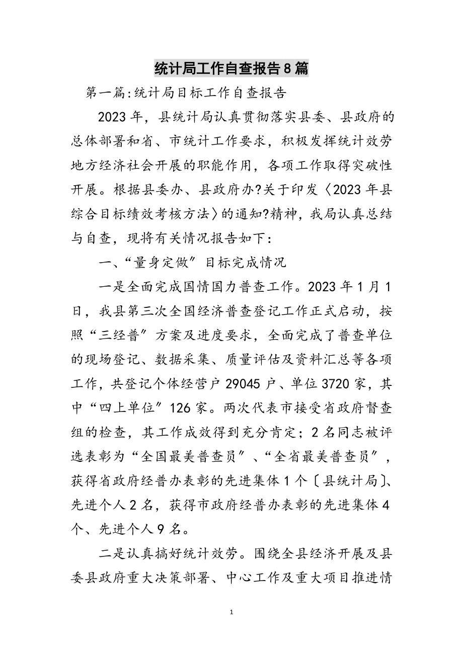 2023年统计局工作自查报告8篇范文.doc_第1页