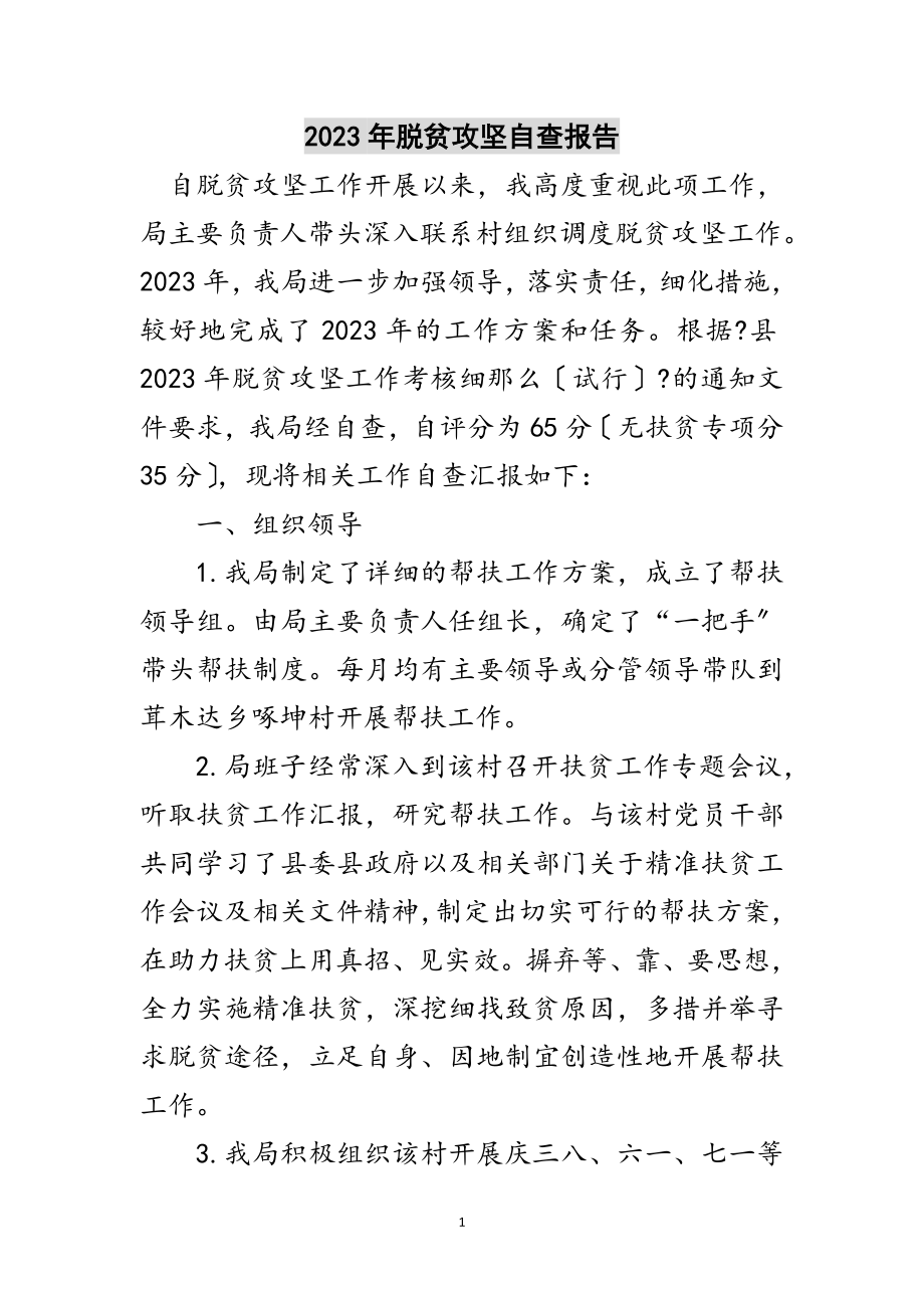 2023年年脱贫攻坚自查报告范文.doc_第1页