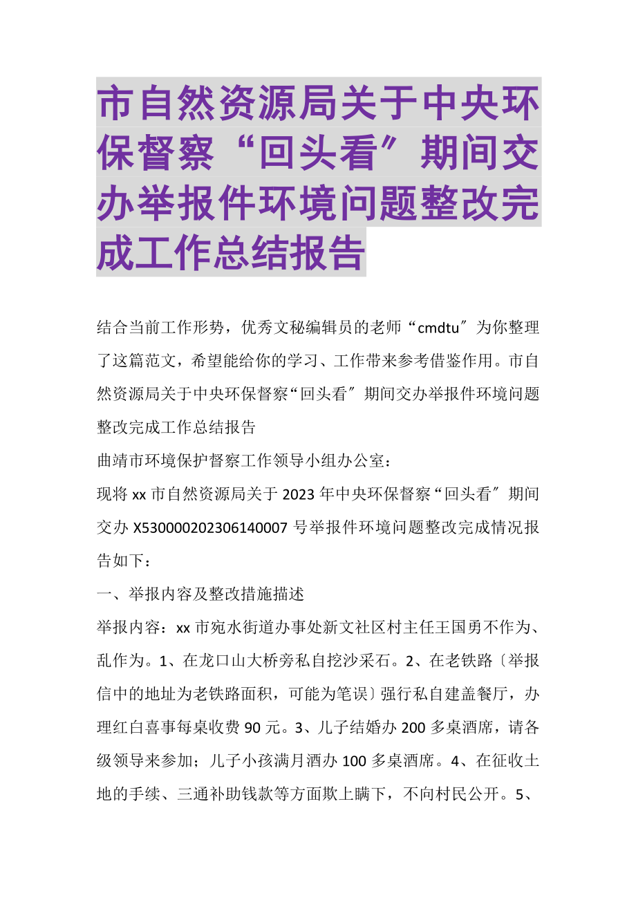 2023年市自然资源局关于中央环保督察回头看期间交办举报件环境问题整改完成工作总结报告.doc_第1页