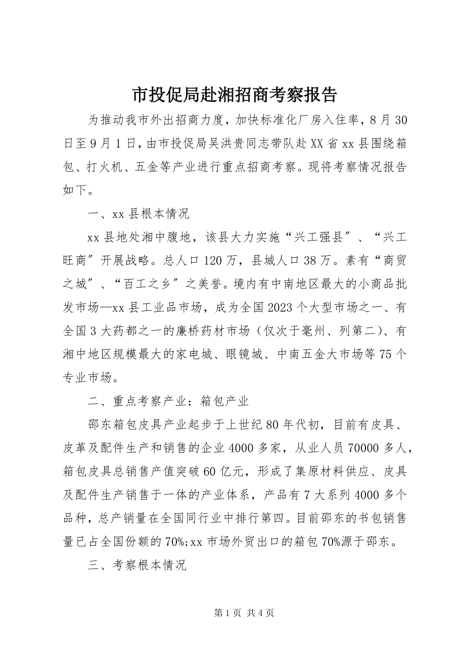 2023年市投促局赴湘招商考察报告.docx_第1页