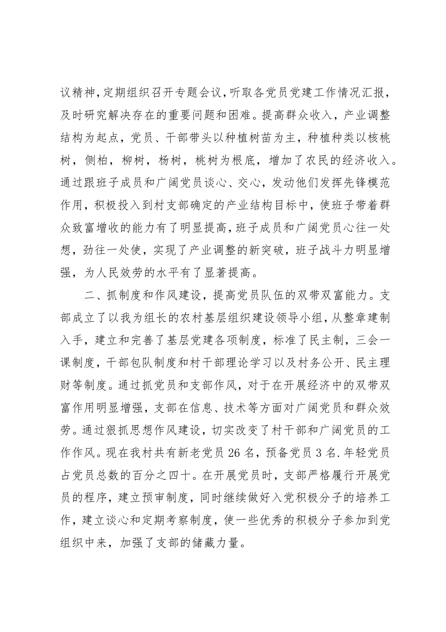 2023年村党支部书记某年度述职报告新编.docx_第2页