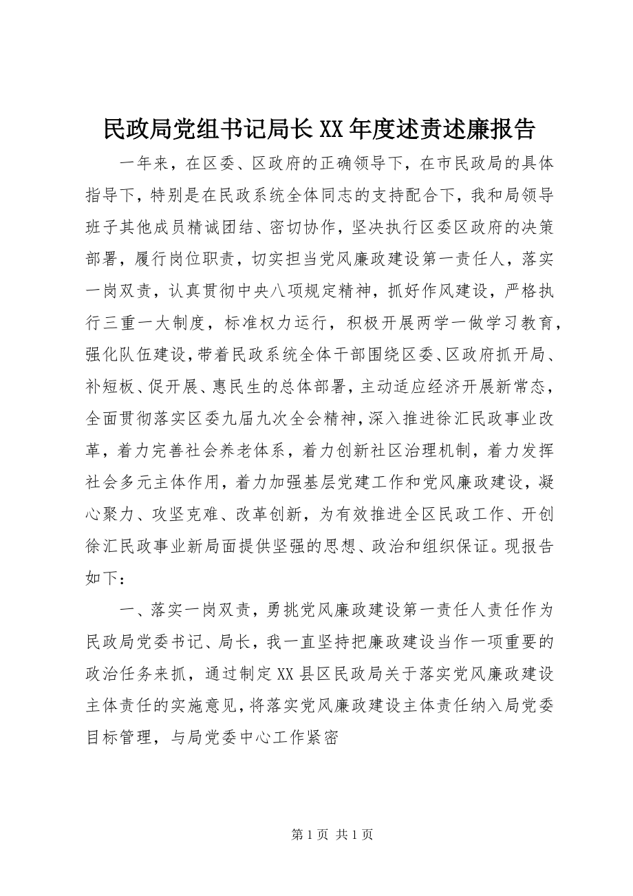 2023年民政局党组书记局长度述责述廉报告.docx_第1页