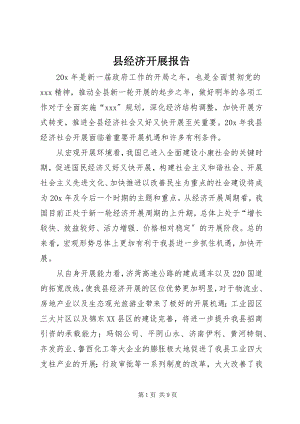 2023年县经济发展报告.docx