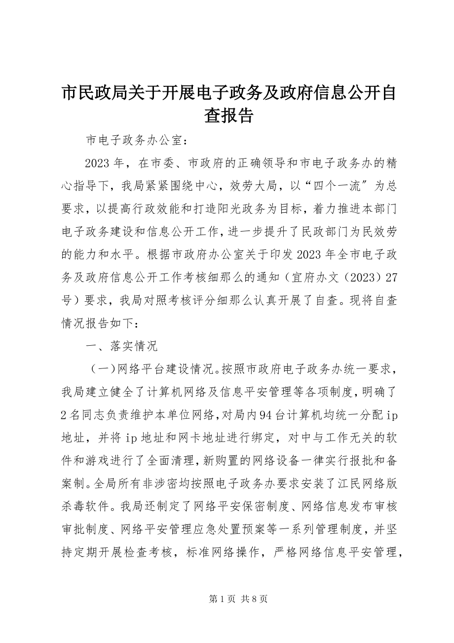 2023年市民政局关于开展电子政务及政府信息公开自查报告.docx_第1页