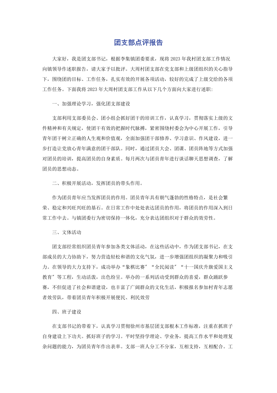 2023年团支部点评报告.docx_第1页