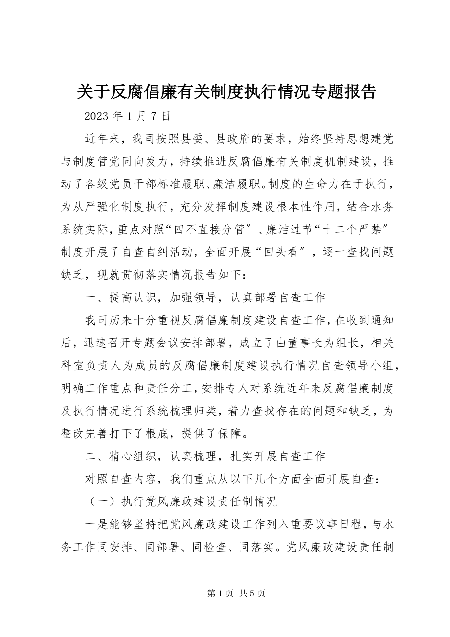 2023年反腐倡廉有关制度执行情况专题报告.docx_第1页