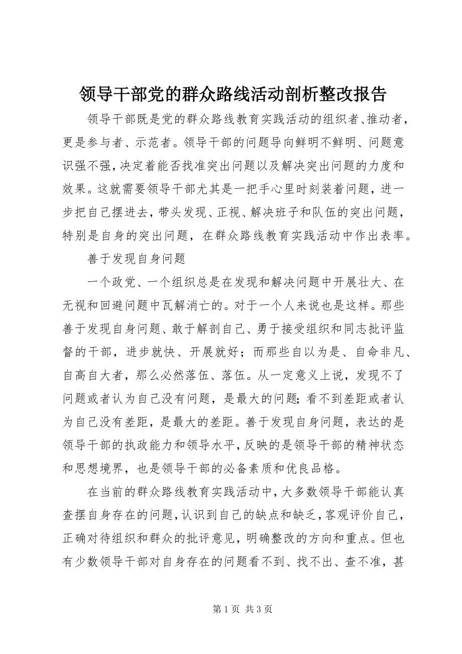 2023年领导干部党的群众路线活动剖析整改报告.docx_第1页