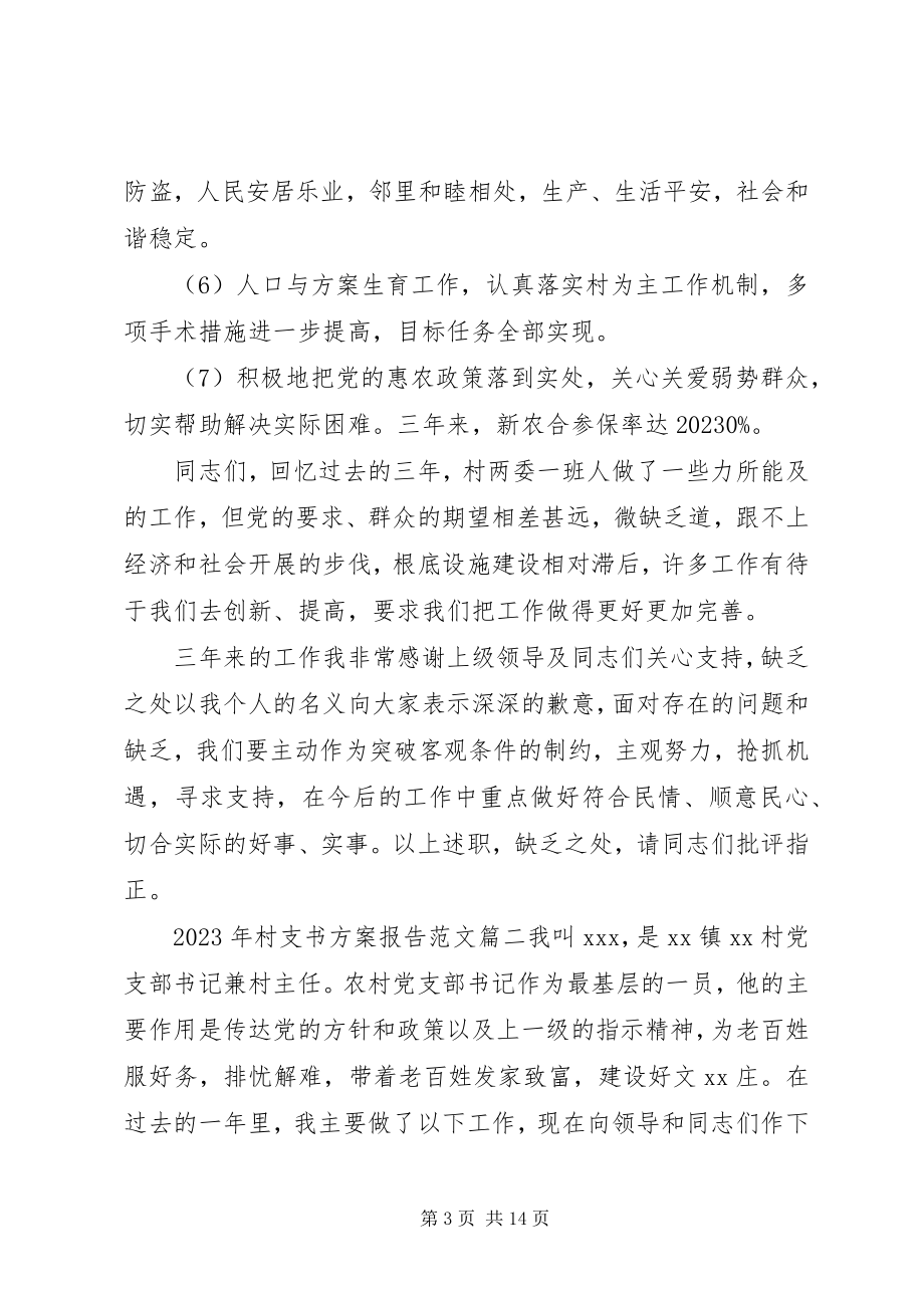 2023年村支书计划报告.docx_第3页