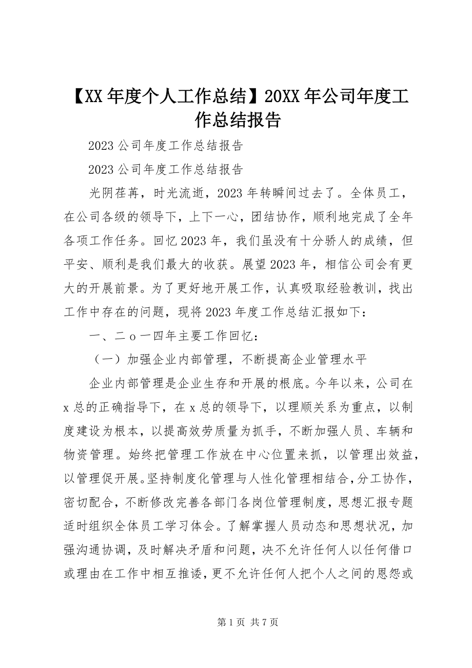 2023年度个人工作总结公司年度工作总结报告.docx_第1页