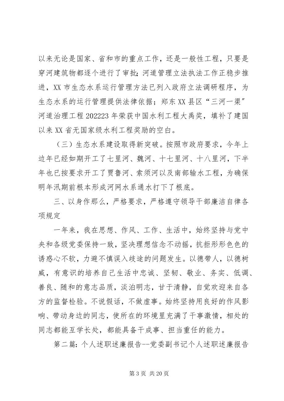 2023年市水利局党委副书记副局长个人述职述廉报告.docx_第3页