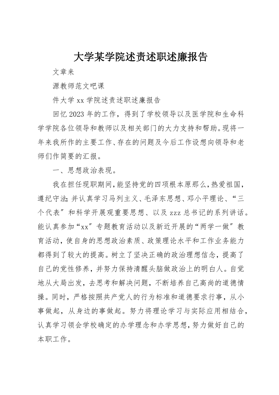 2023年大学某学院述责述职述廉报告.docx_第1页