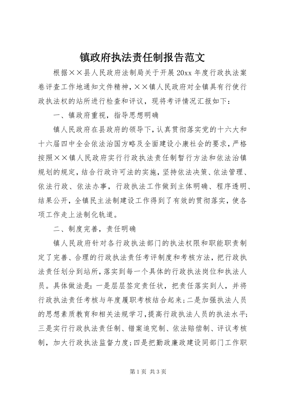 2023年镇政府执法责任制报告.docx_第1页